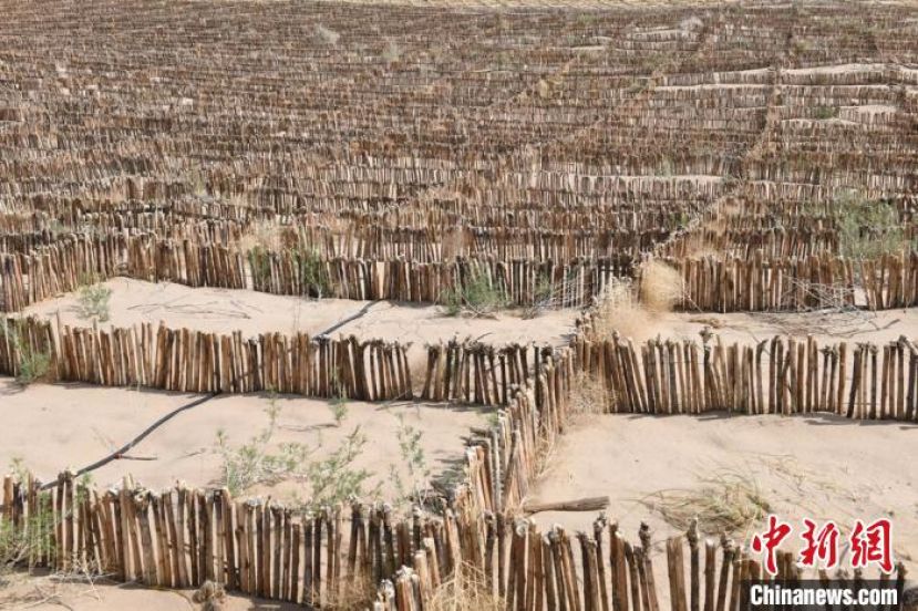 生物秸秆草方格。