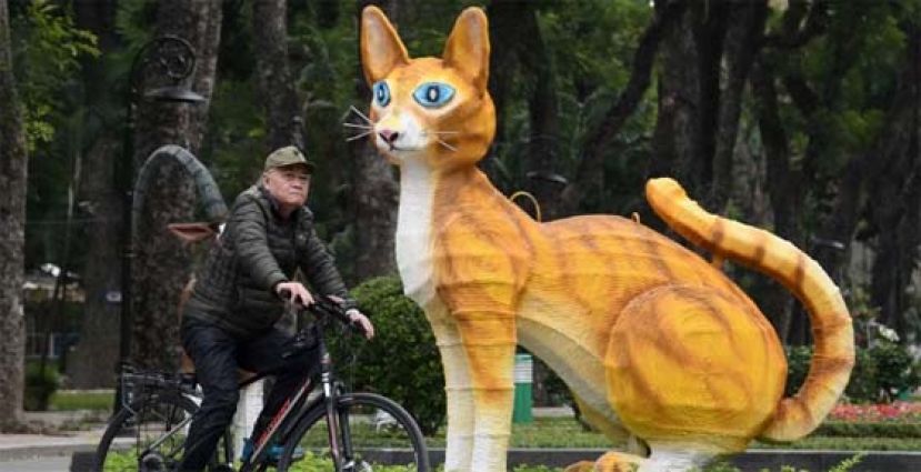 河内的公园出现一只巨猫。