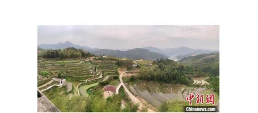 浙江青田石溪乡黄山垄村。
