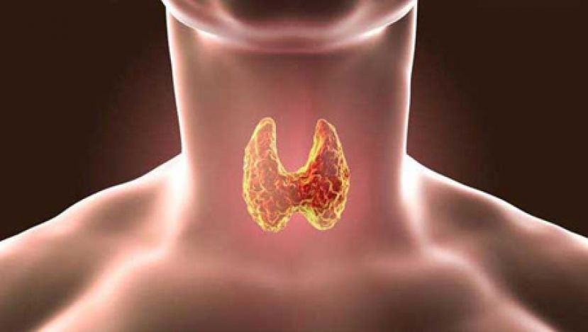 肝气郁结引发甲亢症 宜清热泄火