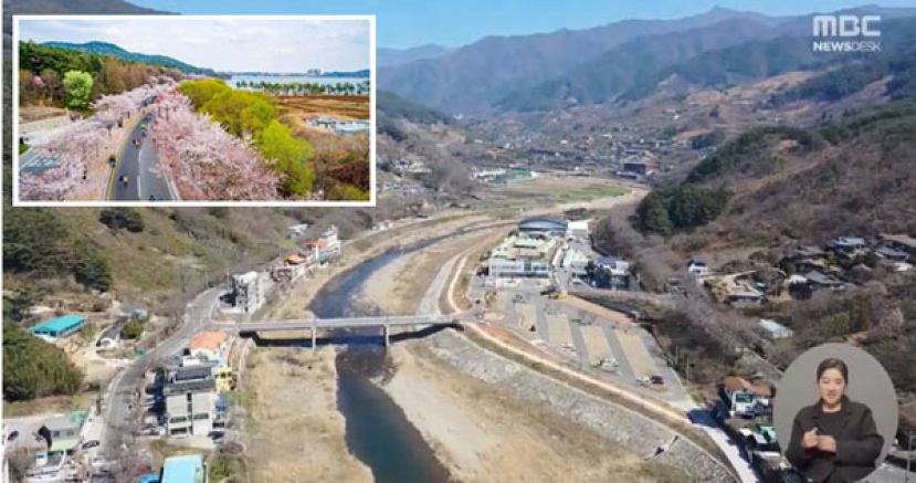 韩国各地已经准备好迎接樱花季的赏樱观光潮，主角樱花却迟到了。小图为过去庆州举办的樱花马拉松盛景。