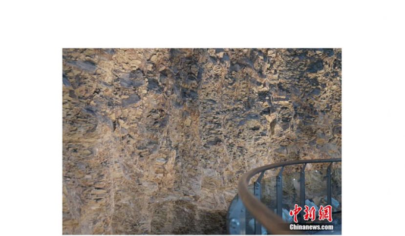 澄江化石地世界自然遗产博物馆内一面完整的化石墙。