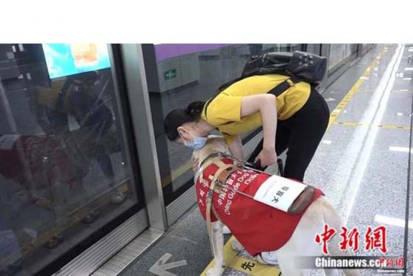 袁思丽在&ldquo;王子&rdquo;的引导下乘坐地铁。