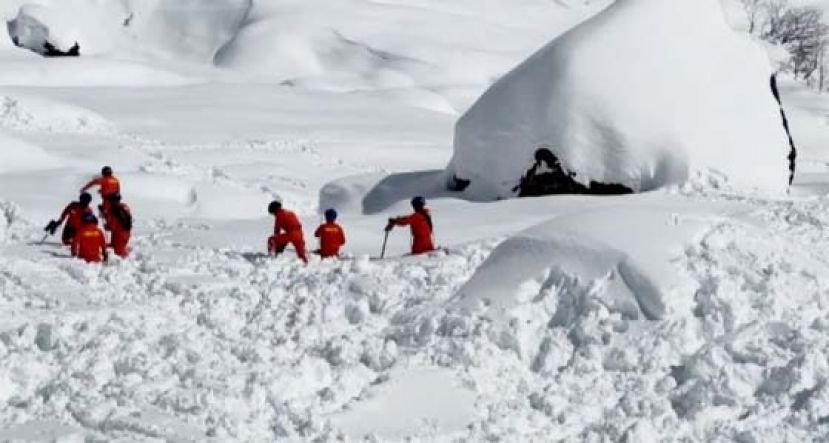 西藏17日发生雪崩事故，救援工作仍在进行。