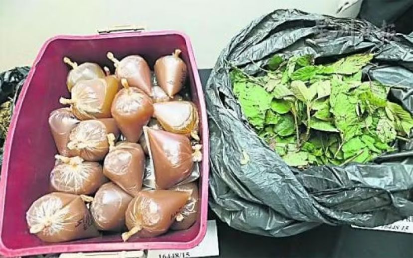 玻璃市和吉打中学生中滥用哥冬