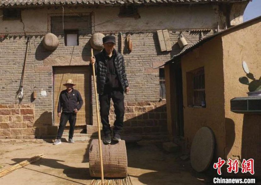 段中堂用石磙碾苇子篾。