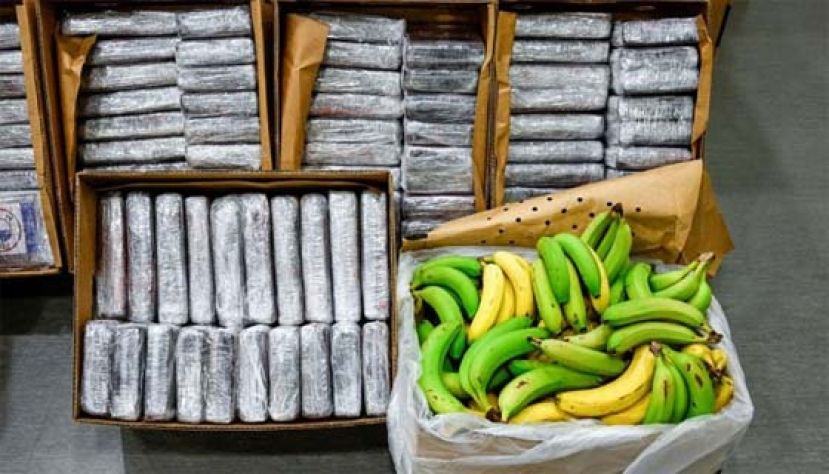 可卡因藏在香蕉中，试图闯关。