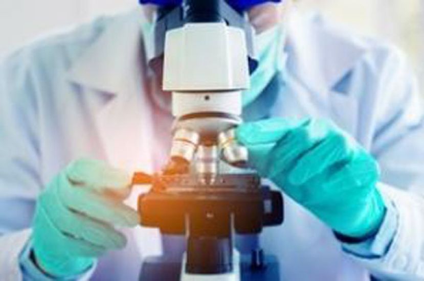 英国发现首例人感染甲型H1N2流感病例