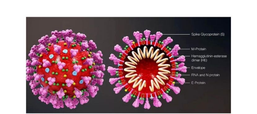 古晋惊现7宗南非变种病毒　砂汉巫美省也有变异毒株