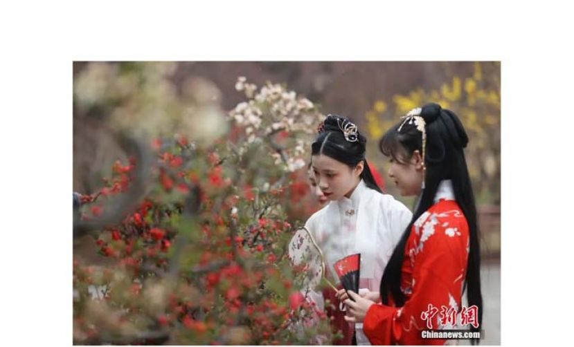 身着汉服的女孩在北京陶然亭公园欣赏海棠花。