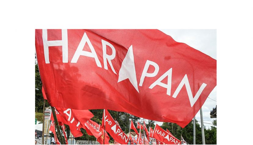希盟议决拒绝诺依占上阵　委阿德里领军出征甲州选举