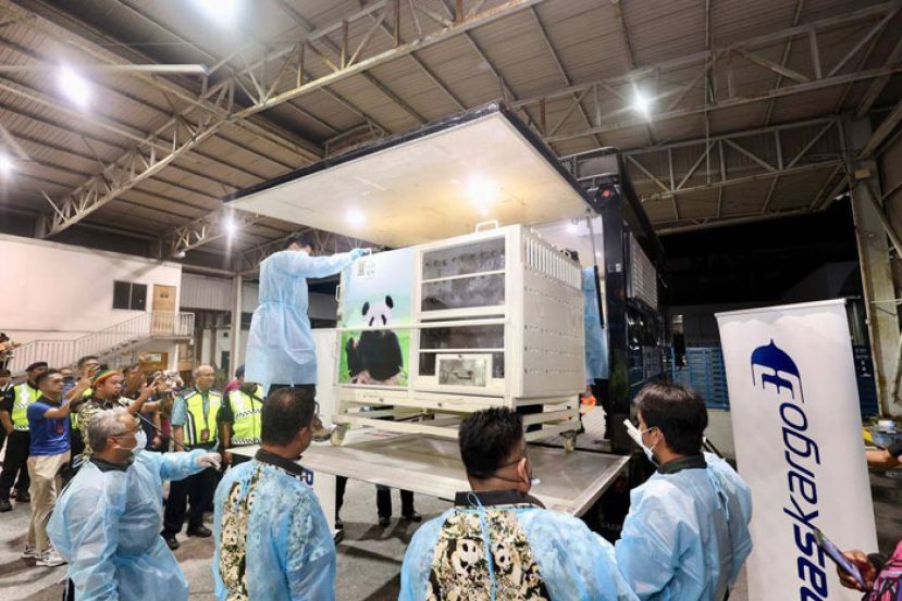 “辰星” 和 “晓月” 抵达吉隆坡国际机场，准备送往隔离检疫。