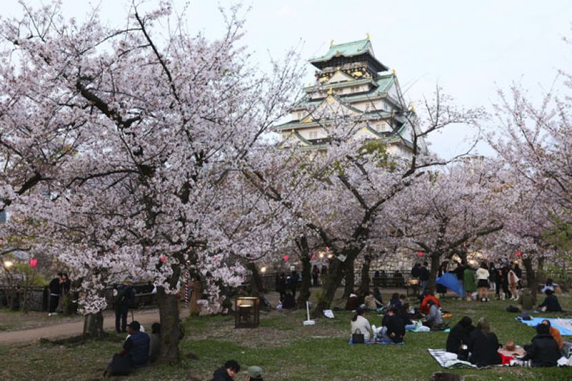 日本大阪是亚洲唯一一座前10名的城市。