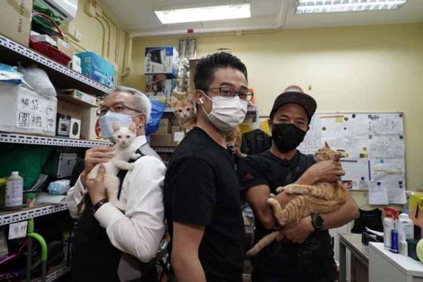 区议员陈振哲（左）、何伟霖（中）及义工力哥推行&ldquo;大埔人大埔猫&rdquo;计划。