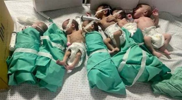 希法医院挖掘乱葬岗，埋约200具尸体。