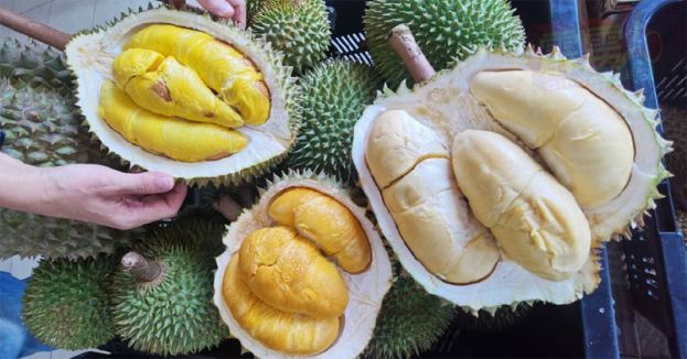 中国是大马榴梿的主要出口市场   去年出口额近12亿