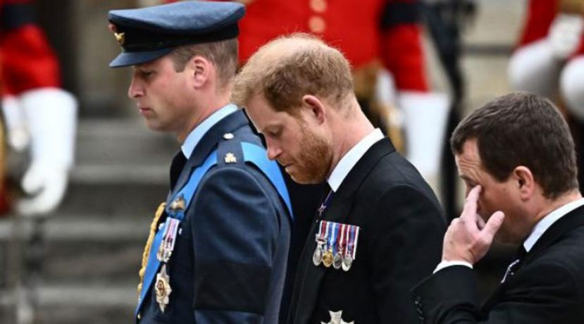 哈里不被允许向女王致敬礼  粉丝不满替他抱不平