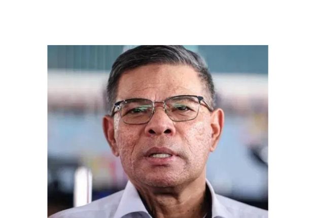 内政部长赛夫丁。