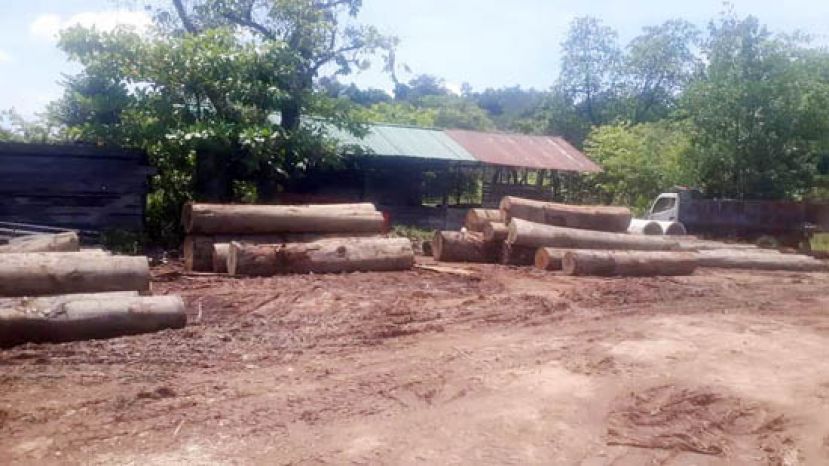 美里普警捣毁非法操作10年的板厂。