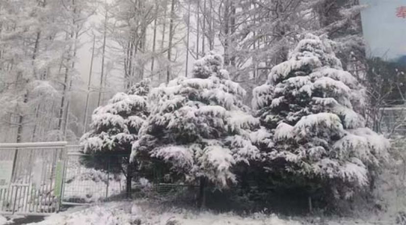 &ldquo;5月飘雪&rdquo;真的发生了，宝鸡太白山景区、陇县关山草原景区、大水川景区都下起了大雪。