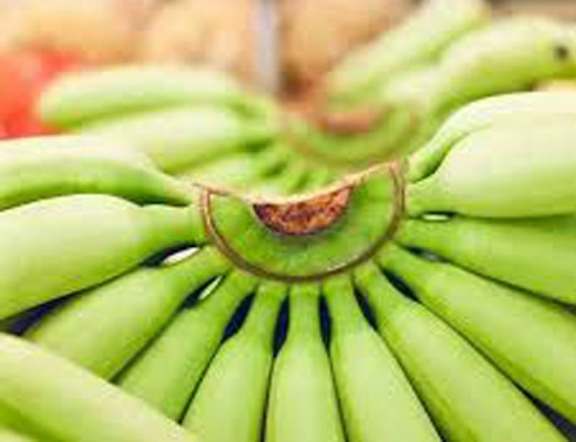 想摆脱过劳肥？ 这10种食物助代谢