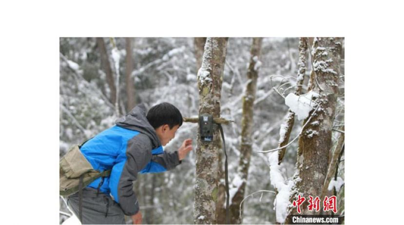 在大山里工作的黄豪。