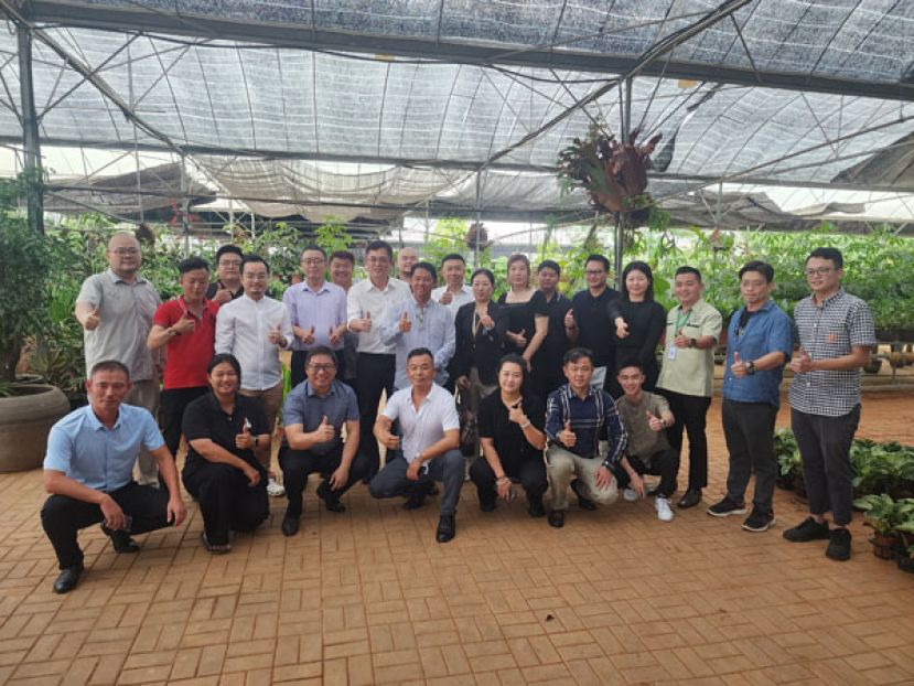 古晋Little Foot 餐厅及MyCity园艺号东苏建雄（右10）宴请烟台商业代表们后，在其园艺与众人合影留念。