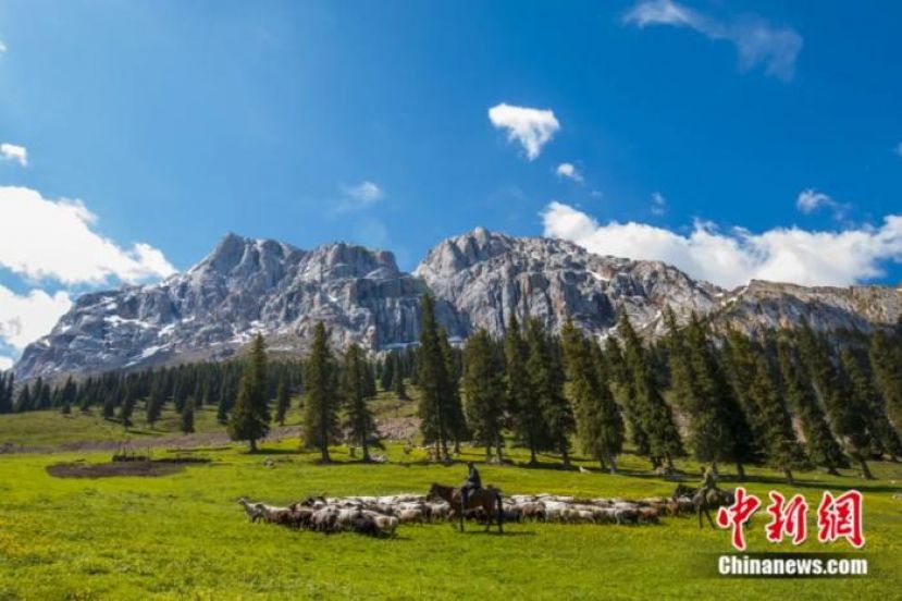 新疆伊犁察布查尔锡伯自治县森林公园。