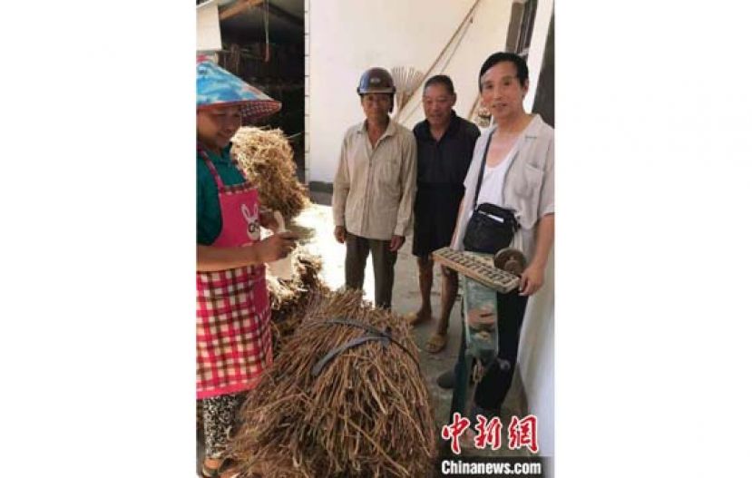 李大东在收集造纸用的桑皮料。