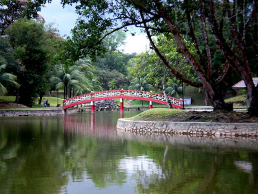 蓄水池公园有野狗  数成人小孩被攻击