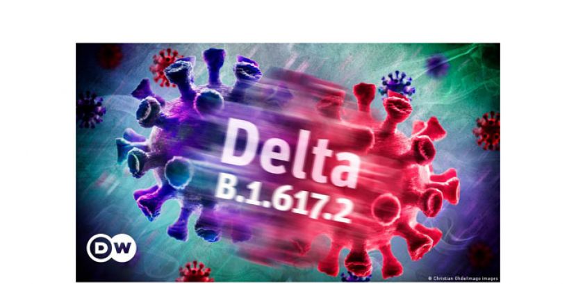 Delta B.1.617.2变种冠病病毒。