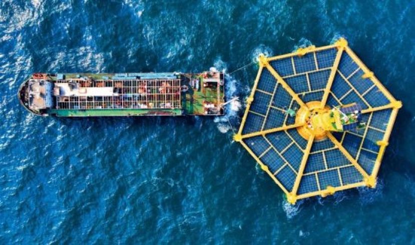 2025年1月，在黄海深处离岸约130海里的青岛国家深远海绿色养殖试验区，养殖工船（左）与中国自主研制的大型深海智能渔业养殖装备“深蓝2号”进行三文鱼联合收鱼作业。