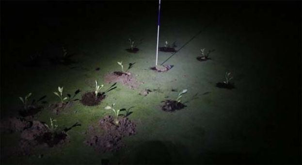 抗议高尔夫球场浪费水，西班牙环保者把球洞填平。