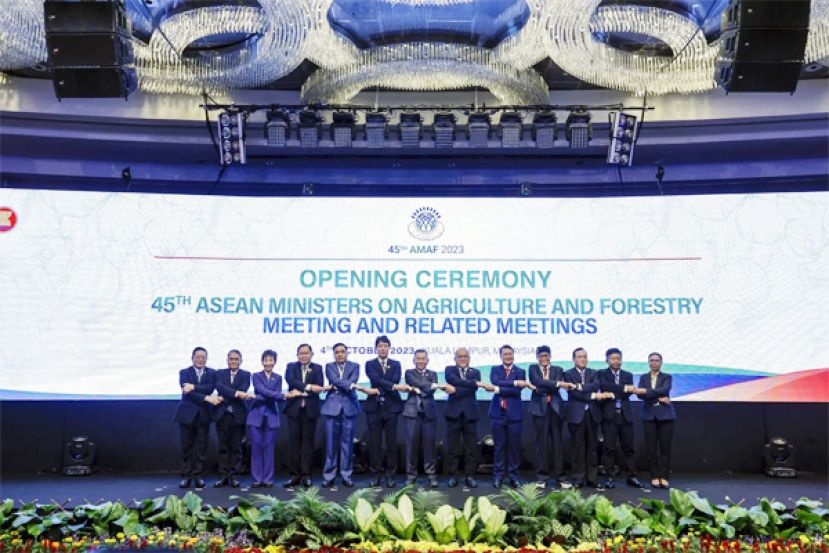 陈泓缣（中）为第45届农林业东协部长级会议主持开幕后，与成员国同僚合照。