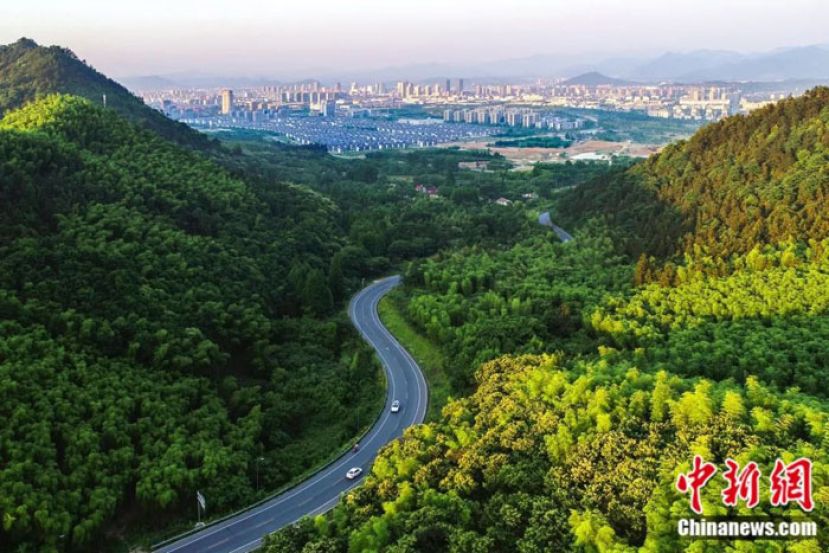 安吉目莲路美景。