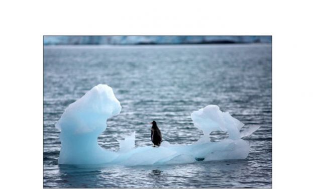 南极融冰减缓深海洋流　或引发多个连锁反应