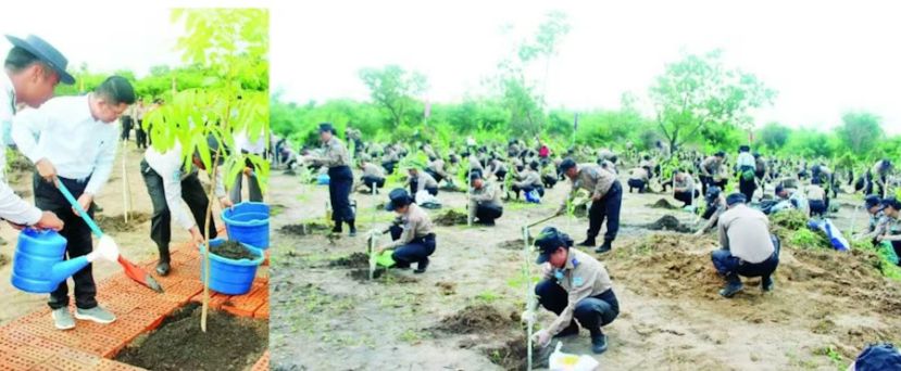 缅甸国防军举行2026年首场雨季植树活动