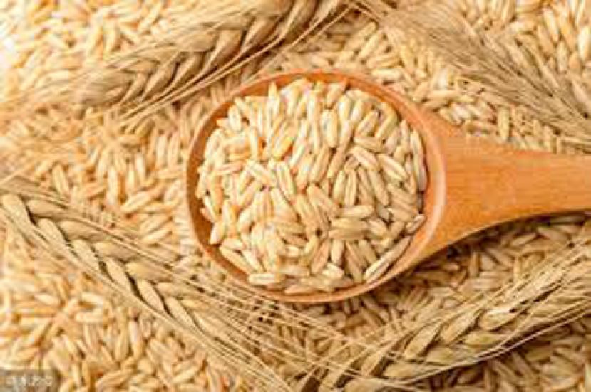 吃芝士麦皮糙米更胜补充剂 维他命B杂抗疲劳