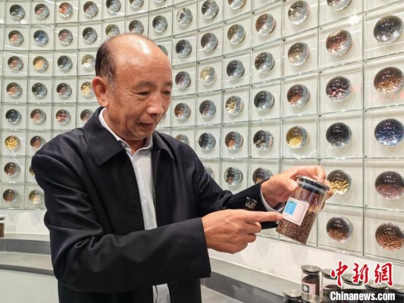 侯三元介绍企业培育的蔬菜种子。