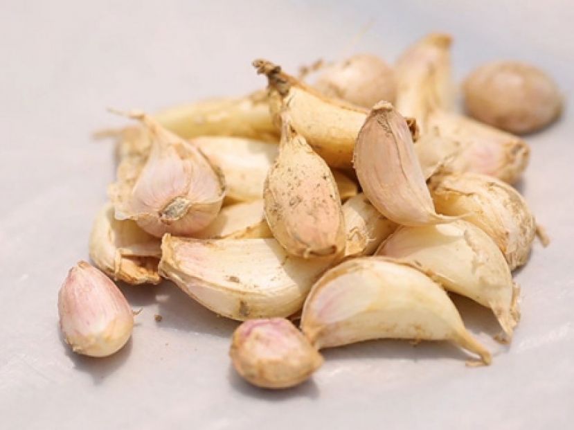 大蒜有助杀菌提高免疫力