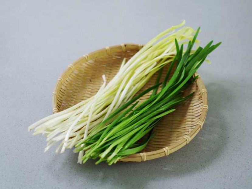韭菜胡萝卜素比韭黄多4倍