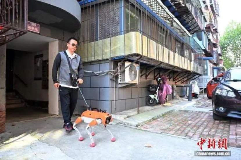 四足机器导盲犬，助力视障人士出行。