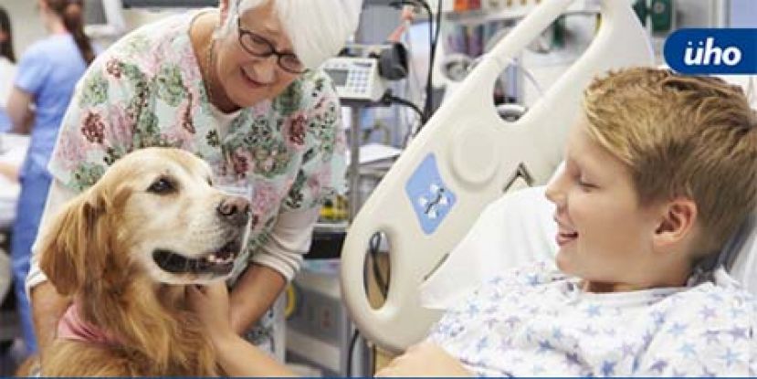 血管细如烟雾　当心儿童也会中风！