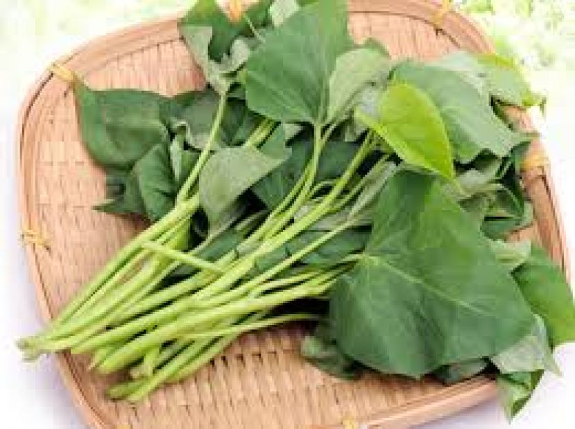 番薯叶护眼护心血管 这样吃更好