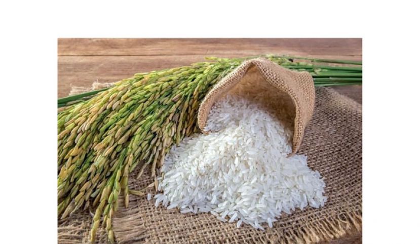 末沙布：内阁今商讨白米短缺解决方案
