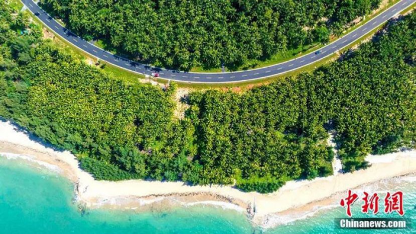 海南环岛旅游公路东郊椰林路段。