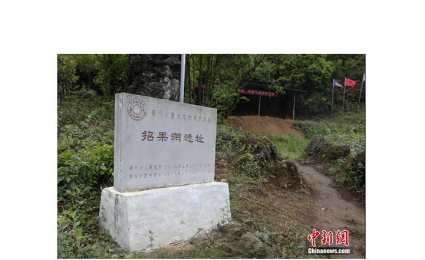 招果洞遗址发掘现场。