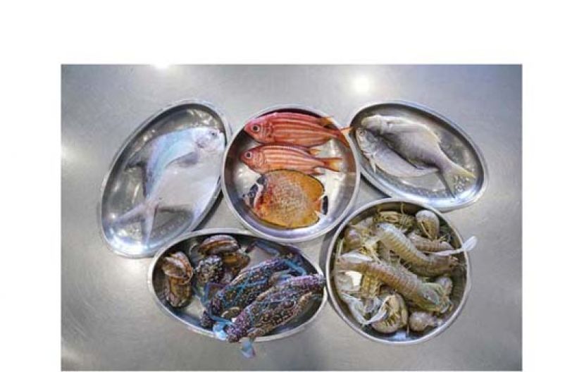 （左上起）海白鲳 $80/条、将军甲 $50/2条、荷包鱼 $100/条、马友咸鲜 $40/条、鲍鱼 $80/6只、蓝花蟹 约$60/只、有膏濑尿虾 $140/斤。