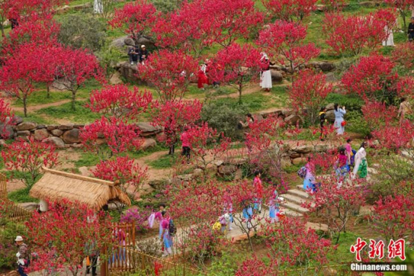广西南宁市青秀山景区桃花坞景点。