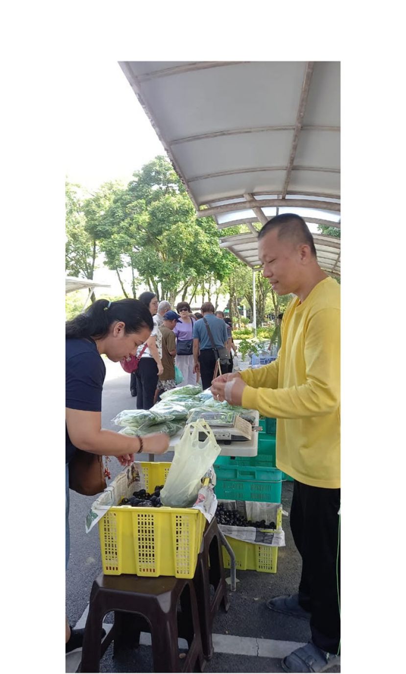 市集里可以买到无农药无化肥的新鲜有机蔬菜等。